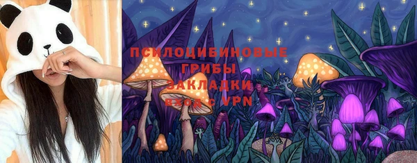 шишки Белокуриха